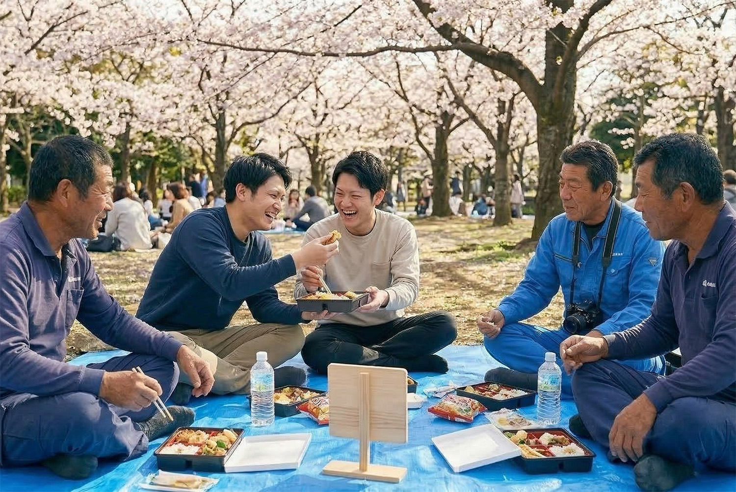 満開の桜の下、ブルーシートを囲んで弁当を食べながら笑い合う5人の男性たち